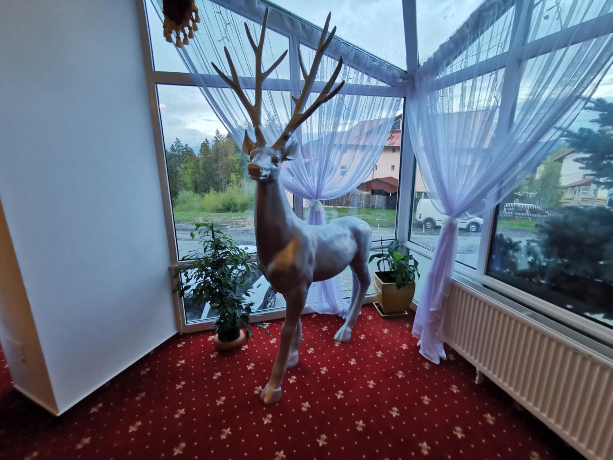 Atrium Panoramic Hotel & Spa Предеал Екстериор снимка